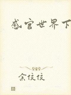 感官世界下载