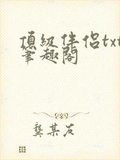 顶级伴侣txt笔趣阁