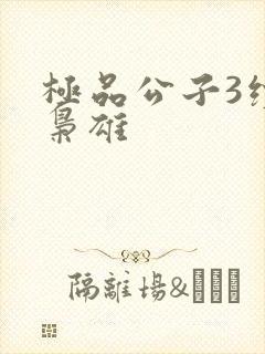 极品公子3续世枭雄