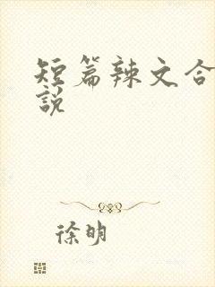 短篇辣文合集小说