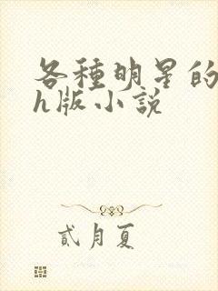 各种明星的综艺h版小说