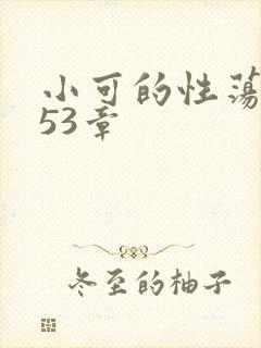 小可的性荡生活53章
