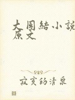 大团结小说阅读原文