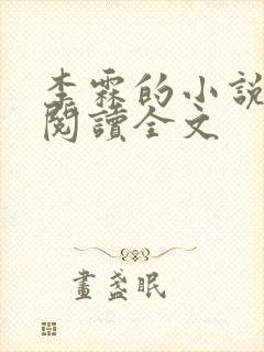 李霖的小说免费阅读全文