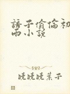 诱子偷伦初尝云雨小说