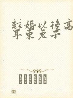 离婚以后高干 耳东兔子