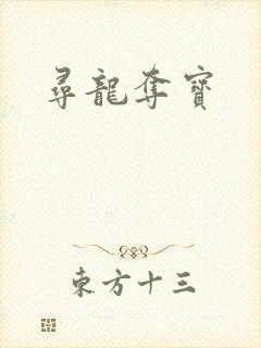 寻龙夺宝