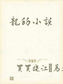 龙的小说