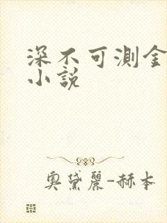 深不可测金银花小说