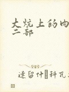 大炕上的肉伦第二部