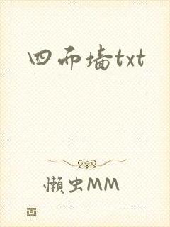 四面墙txt