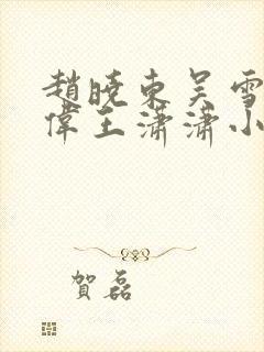 赵晓东吴雪晴郑伟王潇潇小说名字