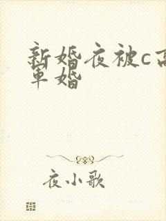 新婚夜被c高h军婚
