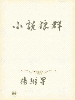 小说狼群