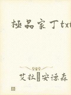 极品家丁txt