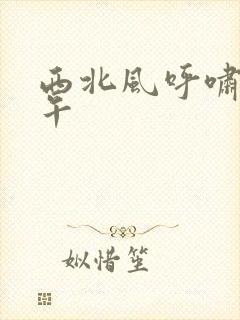 西北风呼啸的中午