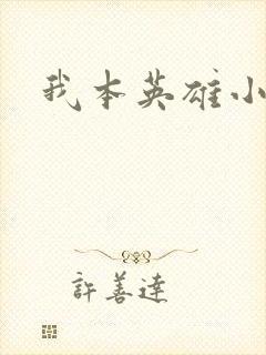 我本英雄小说