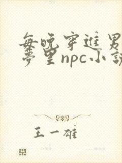 每晚穿进男神的梦里npc小说