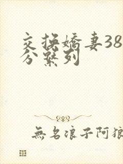 交换娇妻38部分系列