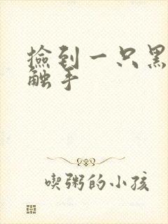 捡到一只黑心小触手