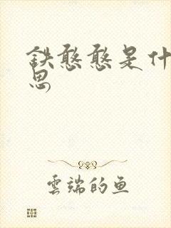 铁憨憨是什么意思