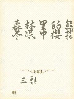 森林里的熊先生冬眠中樱花动漫