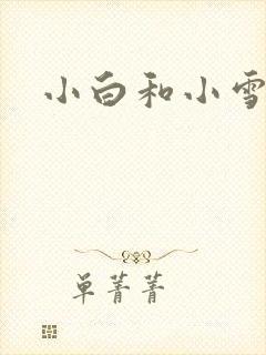 小白和小雪