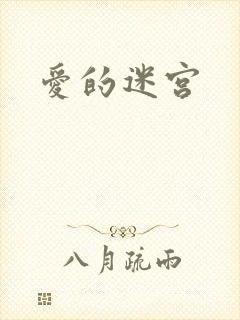 爱的迷宫