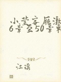 小莹客厅激情46章至50章软件介绍