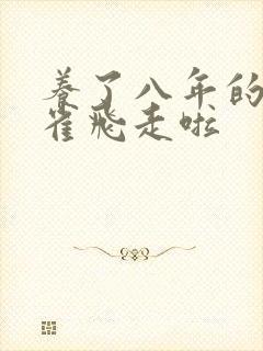 养了八年的金丝雀飞走啦