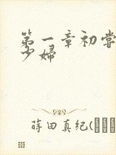 第一章初尝极品少妇