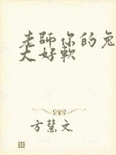 老师你的兔子好大好软