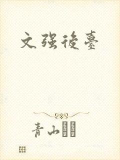 文强后台