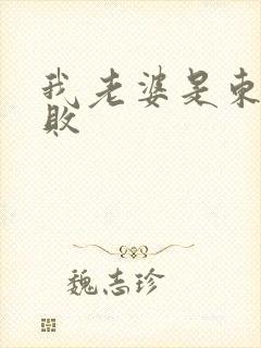 我老婆是东方不败