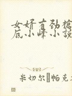 女婿有劲枪枪到底小峰小说