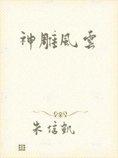 神雕风云