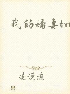 我的娇妻txt