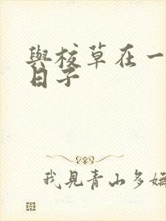 与校草在一起的日子