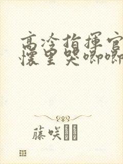 高冷指挥官在我怀里哭唧唧第二季