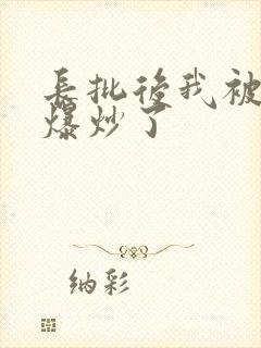 长批后我被宿敌爆炒了