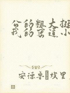 公的粗大挺进了我的密道小说