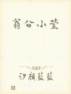 翁公小莹