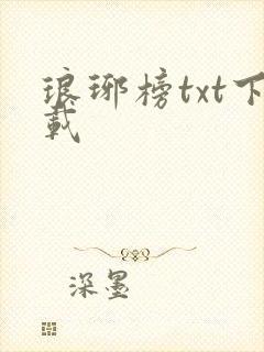 琅琊榜txt下载
