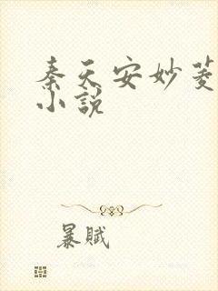 秦天安妙菱修仙小说