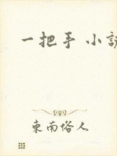 一把手 小说