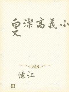 白洁高义小说全文