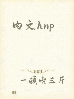 肉文hnp