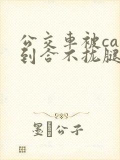 公交车被cao到合不拢腿视频