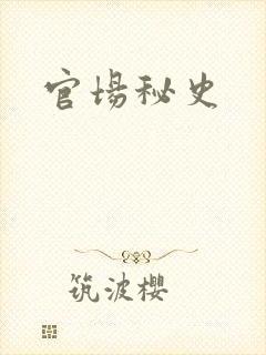 官场秘史