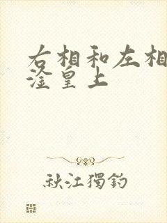 右相和左相一起淦皇上